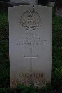 Stanley Military Cemetery - Ambler, Philip
